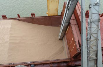 grain in a lorry