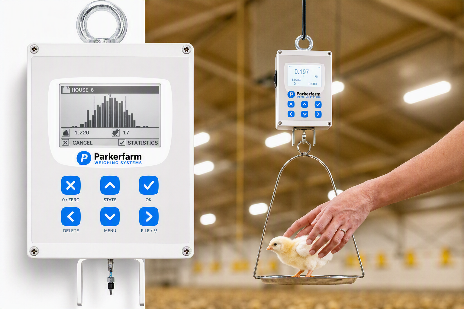 UK Specialists in Chicken Weighing Scales