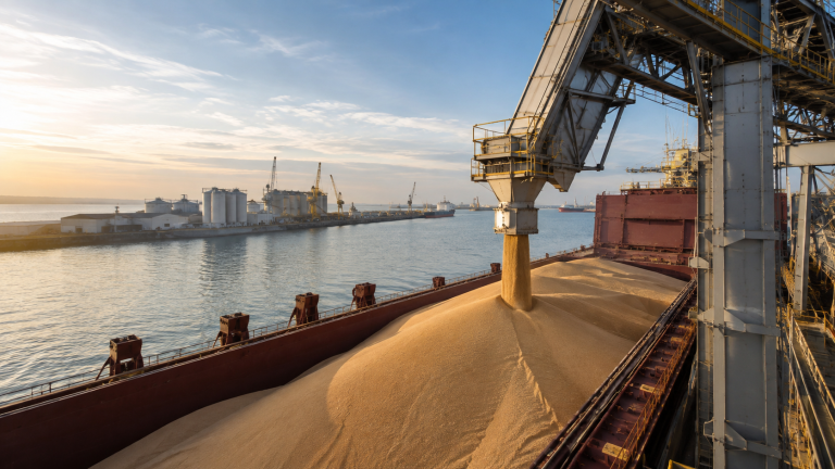 Grain loading operation at an agricultural terminal